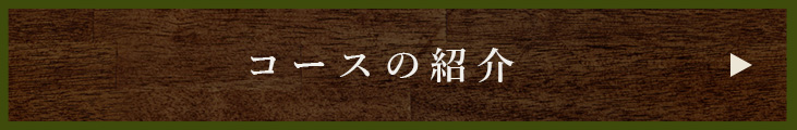 コースの紹介